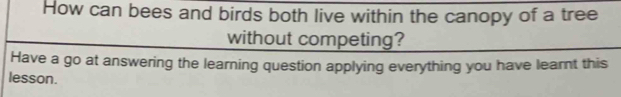 How can bees and birds both live within the canopy of a tree 
without competing? 
Have a go at answering the learning question applying everything you have learnt this 
lesson.