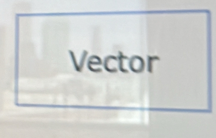 Vector