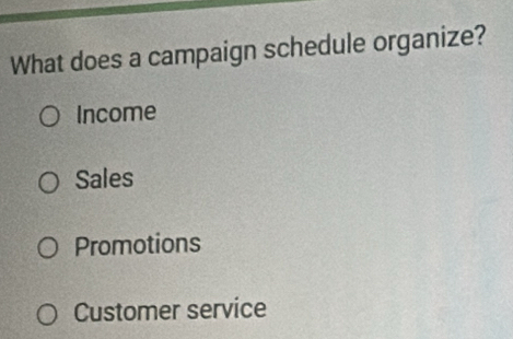 What does a campaign schedule organize?
Income
Sales
Promotions
Customer service