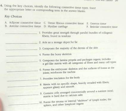 Using the key choices, identify the following connective tissue types. Insert
the appropriate letter or corresponding term in the answer blanks.
Key Choices
A. Adipose connective tissue C. Dense fibrous connective tissue E. Osseous tissue
B. Areolar connective tissue D. Hyaline cartilage F. Reticular connective tissue
_1. Provides great strength through parallel bundles of collagenic
fibers; found in tendons
_2. Acts as a storage depot for fat
_3. Composes the majority of the dermis of the skin
_
4. Forms the bony skeleton
_
5. Composes the lamina propria and packages organs; includes
a gel-like matrix with all categories of fibers and many cell types
_
6. Forms the embryonic skeleton and the surfaces of bones at the
joints; reinforces the trachea
_7. Provides insulation for the body
_
8. Matrix with no specific shape, heavily invaded with fibers;
appears glassy and smooth
_
9. Contains cells arranged concentrically around a nutrient canal;
matrix is hard due to calcium salts
_
10. Forms the stroma or internal "skeleton" of lymph nodes, the
spleen, and other lymphoid organs