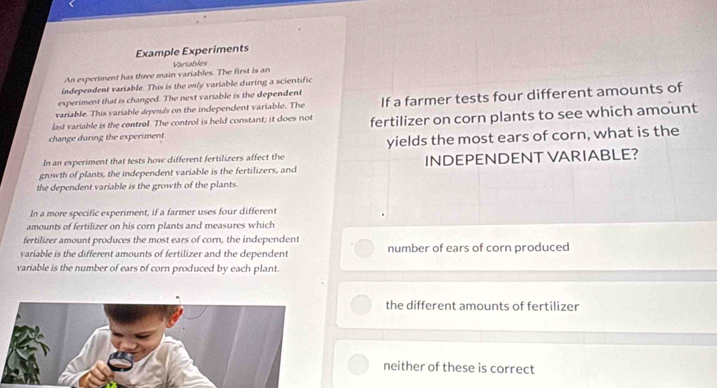 Example Experiments
An experiment has three main variables. The first is an Vartables
independent variable. This is the only variable during a scientific
experiment that is changed. The next variable is the dependent
variable. This variable aepends on the independent variable. The If a farmer tests four different amounts of
last variable is the control. The control is held constant; it does not fertilizer on corn plants to see which amount
change during the experiment
In an experiment that tests how different fertilizers affect the yields the most ears of corn, what is the
growth of plants, the independent variable is the fertilizers, and INDEPENDENT VARIABLE?
the dependent variable is the growth of the plants.
In a more specific experiment, if a farmer uses four different
amounts of fertilizer on his corn plants and measures which
fertilizer amount produces the most ears of corn, the independent
variable is the different amounts of fertilizer and the dependent number of ears of corn produced
variable is the number of ears of corn produced by each plant.
the different amounts of fertilizer
neither of these is correct