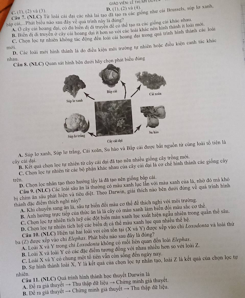 Giáo Viên: Lễ thị Mỹ bưy
C. (1), (2) và (3). D. (1), (2) và (4).
Câu 7. (NLC) Từ loài cải đại các nhà lai tạo đã tạo ra các giống như cái Brussels, súp lơ xanh,
bấp cải,...Phát biểu nào sau đây về quá trình này là đúng?
A. Ở cây cái hoang đại, có đủ biển dị di truyền đề có thể tạo ra các giống cải khác nhau,
B. Biển đị di truyền ở cây cải hoang đại ít hơn so với các loài khác nên hình thành ít loài mới
C. Chọn lọc tự nhiên không tác động đến loài cải hoang đại trong quá trình hình thành các loài
D. Các loài mới hình thành là do điều kiện môi trường tự nhiên hoặc điều kiện canh tác khác
mới.
nhau.
Câu 8. (NLC) Quan dưới hãy chọn phát biểu đúng
A. Súp lơ xanh, Súp lơ trắng, Cải xoăn, Su hào và Bắp cải được bắt nguồn từ cùng loài tổ tiên là
cây cải dại.
B. Kết quả chọn lọc tự nhiên từ cây cải dại đã tạo nên nhiều giống cây trồng mới.
C. Chọn lọc tự nhiên từ các bộ phận khác nhau của cây cải dại là cơ chế hình thành các giống cây
trên.
D. Chọn lọc nhân tạo theo hướng lấy lá đã tạo nên giống bắp cải.
Câu 9. (NLC) Các loài sâu ăn lá thường có màu xanh lục lẫn với màu xanh của lá, nhờ đó mà khó
bị chim ăn sâu phát hiện và tiêu diệt. Theo Darwin, giải thích nào bên dưới đúng về quá trình hình
thành đặc điểm thích nghi này?
A. Khi chuyển sang ăn lá, sâu tự biến đổi màu cơ thể đề thích nghi với môi trường.
B. Ảnh hưởng trực tiếp của thức ăn là lá cây có màu xanh làm biến đồi màu sắc cơ thể.
C. Chọn lọc tự nhiên tích luỹ các đột biển màu xanh lục xuất hiện ngẫu nhiên trong quần thể sâu.
D. Chọn lọc tự nhiên tích luỹ các biển dị cá thể màu xanh lục qua nhiều thế hệ.
Câu 10. (NLC) Hiện tại hai loài voi còn tồn tại (X và Y) được xếp vào chi Loxodonta và loài thứ
ba (Z) được xếp vào chi Elephas. Phát biểu nào sau đây là đúng?
A. Loài X và Y trong chi Loxodonta không có mối liên quan đến loài Elephas.
B. Loài X và loài Y có các đặc điểm tương đồng với nhau nhiều hơn so với loài Z.
C. Loài X và Y có chung một tổ tiên vẫn còn sống đến ngày nay.
D. Sự hình thành loài X, Y là kết quả của chọn lọc tự nhân tạo, loài Z là kết quả của chọn lọc tự
nhiên.
Câu 11. (NLC) Quá trình hình thành học thuyết Darwin là
A. Đề ra giả thuyết → Thu thập dữ liệu → Chứng minh giả thuyết.
B. Đề ra giả thuyết → Chứng minh giả thuyết → Thu thập dữ liệu.