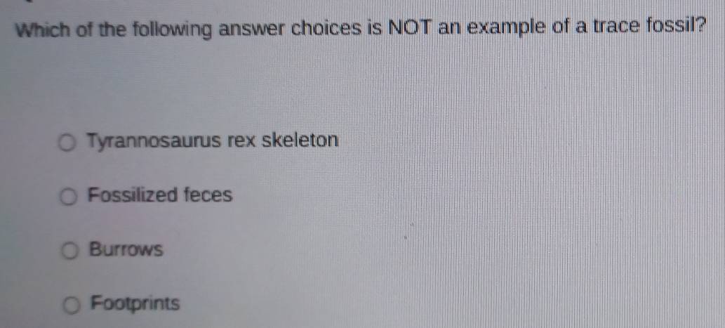 Which of the following answer choices is NOT an example of a trace fossil?
Tyrannosaurus rex skeleton
Fossilized feces
Burrows
Footprints