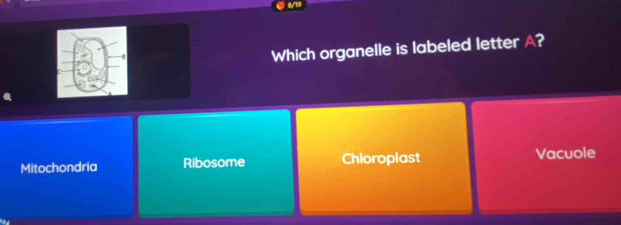 ● 8/1?
Which organelle is labeled letter A?
Mitochondria Ribosome Chloroplast Vacuole