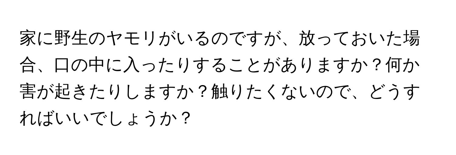 家に野生のヤモリがいるのですが、放っておいた場合、口の中に入ったりすることがありますか？何か害が起きたりしますか？触りたくないので、どうすればいいでしょうか？