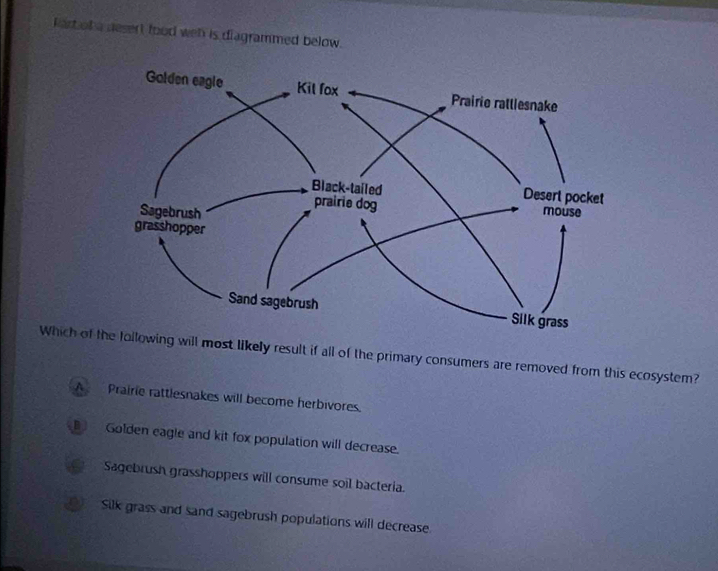 fart of a desert food weh is diagrammed below.
Which of llowing will most likely result if all of the primary consumers are removed from this ecosystem?
A Prairie rattlesnakes will become herbivores.
B Golden eagle and kit fox population will decrease.
Sagebrush grasshoppers will consume soil bacteria.
Silk grass and sand sagebrush populations will decrease.