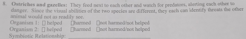 Ostriches and gazelles: They feed next to each other and watch for predators, alerting each other to
danger. Since the visual abilities of the two species are different, they each can identify threats the other
animal would not as readily see.
Organism 1: ₹ helped □harmed ￥not harmed/not helped
Organism 2: [ helped ￥harmed ￥not harmed/not helped
Symbiotic Relationship: