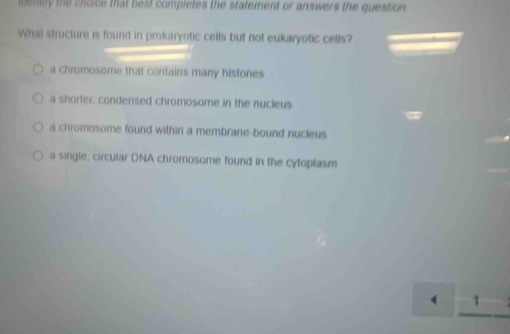 identify the choice that best completes the statement or answers the question
What structure is found in prokaryotic cells but not eukaryotic cells?
a chromosome that contains many histones
a shorter, condensed chromosome in the nucleus
a chromosome found within a membrane-bound nucleus
a single, circular DNA chromosome found in the cytoplasm
1