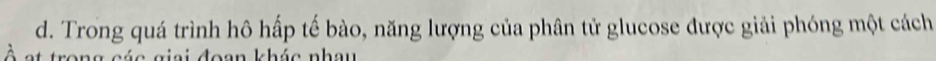 Trong quá trình hô hấp tế bào, năng lượng của phân tử glucose được giải phóng một cách 
rong các giai đoan khác nhau
