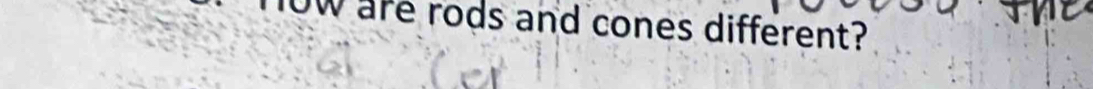 ow are rods and cones different?