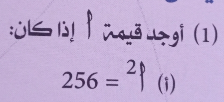 ā gi (1)
256=beginarrayr 2 |(i)endarray