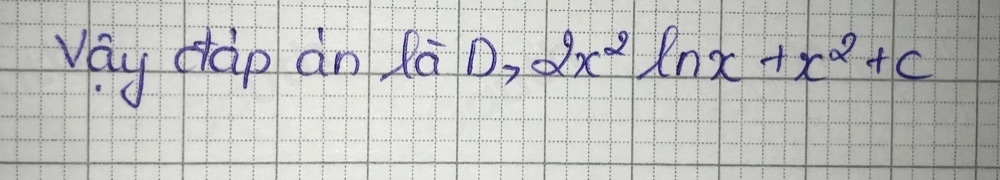 yay càp àn la D, 2x^2ln x+x^2+c