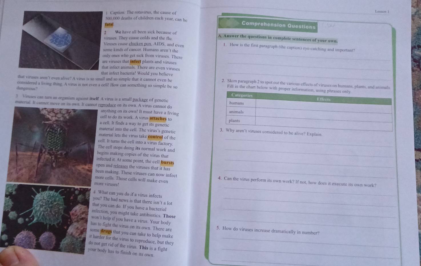 Caption: The rotavirus, the cause of
Lesson 1
00,000 deaths of children each year, can be
atal Comprehension Questions
2 We have all been sick because of A. Answer the questions in complete sentences of your own.
iruses. They cause colds and the flu.
iruses cause chicken pox. AIDS, and even
1. How is the first paragraph (the caption) eye-catching and important?
me kinds of cancer. Humans aren’t the
ly ones who get sick from viruses. There
_
e viruses that infect plants and viruses_
t infect animals. There are even viruses
t infect bacteria! Would you believe_
that viruses aren't even alive? A virus is so small and so simple that it cannot even be
2. Skim paragraph 2 to spot out the various effects of viruses on humans, plants, and animals
considered a living thing. A virus is not even a cell! How can something so simple be so
Fill in the chart below with proper info
dangerous? 
3 Viruses can turn an organism against Itself. A virus is a small package of genetic
material. It cannoproduce on its own. A virus cannot do
anything on its own! It must have a living 
ell to do its work. A virus attaches to 
_
cell. It finds a way to get its genetic dered to be alive? Explain.
aterial into the cell. The virus's genetic
aterial lets the virus take control of the
ll. It turns the cell into a virus factory.
he cell stops doing its normal work and_
gins making copies of the virus that
ected it. At some point, the cell bursts_
en and releases the viruses that it has
n making. These viruses can now infect 4. Can the virus perform its own work? If not, how does it execute its own work?
re cells. Those cells will make even
e viruses!
hat can you do if a virus infects
_
The bad news is that there isn't a lot_
you can do. If you have a bacterial
tion, you might take antibiotics. Those
_
t help if you have a virus. Your body 5. How do viruses increase dramatically in number?
fight the virus on its own. There are
drugs that you can take to help make
er for the virus to reproduce, but they_
get rid of the virus. This is a fight
dy has to finish on its own.
_
_