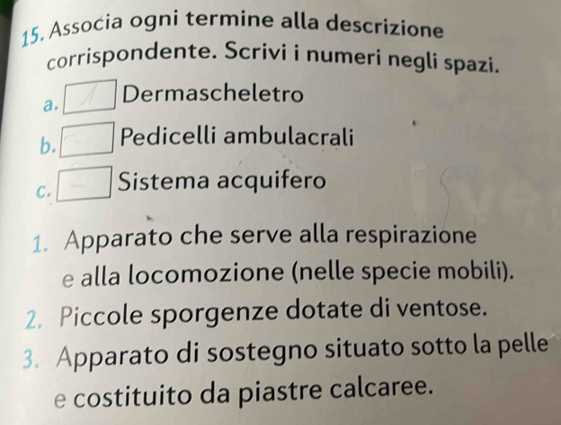 Associa ogni termine alla descrizione 
corrispondente. Scrívi i numeri negli spazi. 
a. Dermascheletro 
b. Pedicelli ambulacrali 
C. Sistema acquifero 
1. Apparato che serve alla respirazione 
e alla locomozione (nelle specie mobili). 
2. Piccole sporgenze dotate di ventose. 
3. Apparato di sostegno situato sotto la pelle 
e costituito da piastre calcaree.