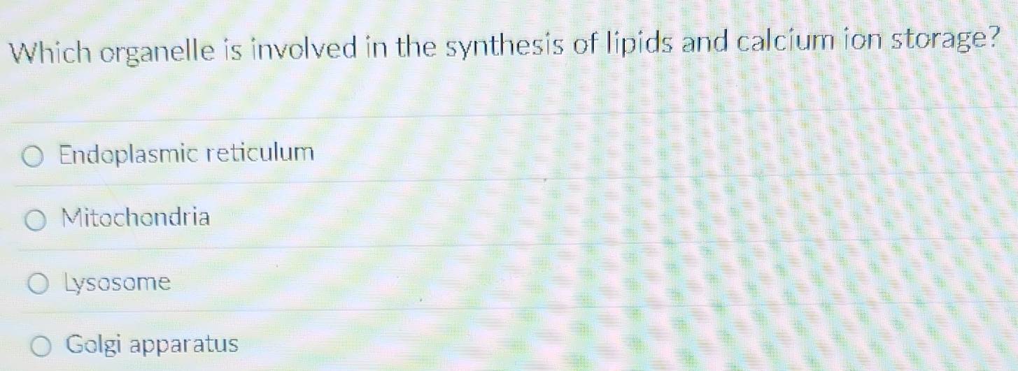 Which organelle is involved in the synthesis of lipids and calcium ion storage?
Endoplasmic reticulum
Mitochondria
Lysosome

Golgi apparatus