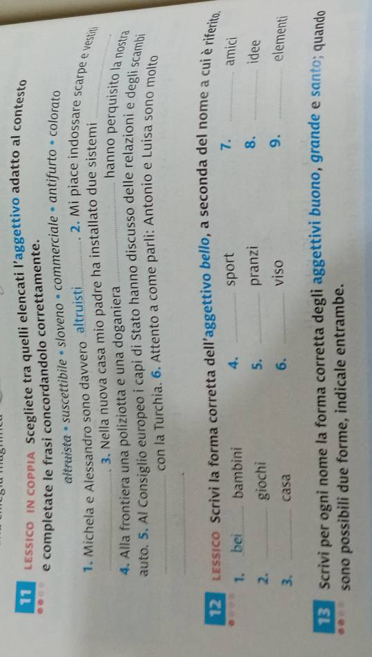 LESsICO IN cOPPIA Scegliete tra quelli elencati l’aggettivo adatto al contesto
e completate le frasi concordandolo correttamente.
altruista • suscettibile • sloveno • commerciale « antifurto « colorato
1. Michela e Alessandro sono davvero altruisti_ 2. Mi piace indossare scarpe e vestit
_. 3. Nella nuova casa mio padre ha installato due sistemi_
4. Alla frontiera una poliziotta e una doganiera
_hanno perquisito la nostra
auto. 5. Al Consiglio europeo i capi di Stato hanno discusso delle relazioni e degli scambi
_con la Turchia. 6. Attento a come parli: Antonio e Luisa sono molto
_
e cessico Scrivi la forma corretta dell'aggettivo bello, a seconda del nome a cui è riferito.
4. _amici
1. bei_ bambini _sport
7.
5.
2. _giochi _pranzi 8. _idee
6.
3. _casa _viso 9. _elementi
Scrivi per ogni nome la forma corretta degli aggettivi buono, grande e santo; quando
sono possibili due forme, indicale entrambe.