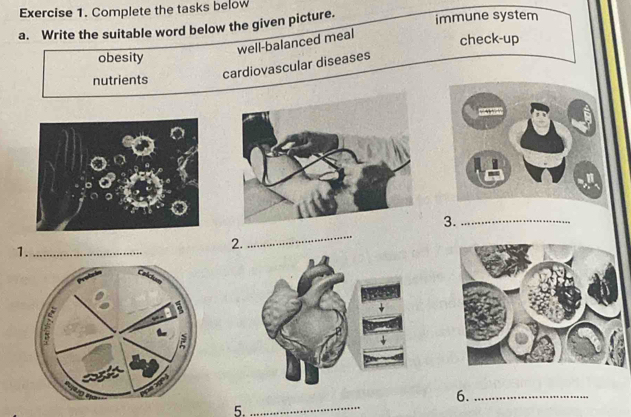 Complete the tasks below 
a. Write the suitable word below the given picture. immune system 
well-balanced meal 
check-up 
obesity 
nutrients 
cardiovascular diseases 
_ 
3._ 
1._ 
2. 
6._ 
5. 
_