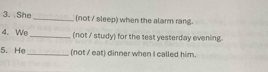 She _(not / sleep) when the alarm rang. 
4. We _(not / study) for the test yesterday evening. 
5. He _(not / eat) dinner when I called him.