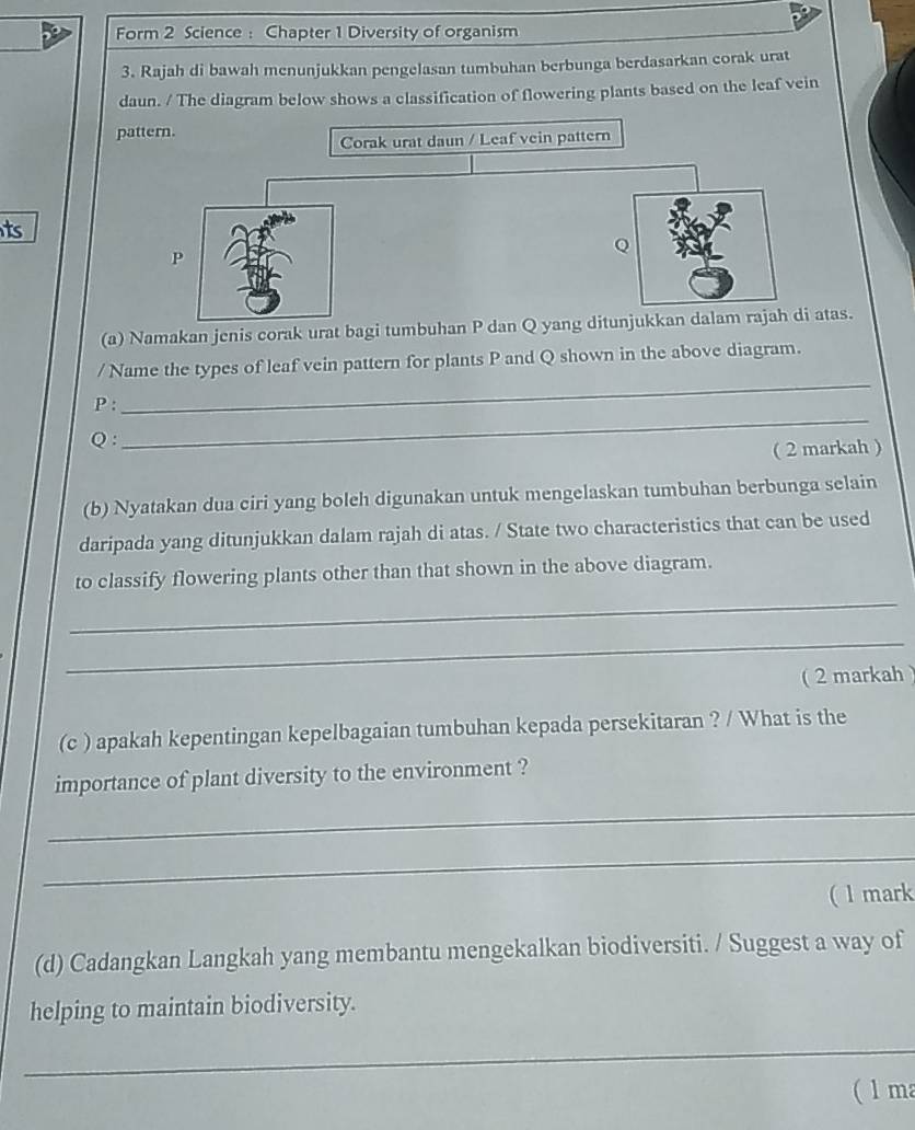 Form 2 Science : Chapter 1 Diversity of organism 
3. Rajah di bawah menunjukkan pengelasan tumbuhan berbunga berdasarkan corak urat 
daun. / The diagram below shows a classification of flowering plants based on the leaf vein 
pattern. 
Corak urat daun / Leaf vein pattern 
ts
P
(a) Namakan jenis corak urat bagi tumbuhan P dan Q yang ditunjukkan dalam rajah di atas. 
/ Name the types of leaf vein pattern for plants P and Q shown in the above diagram.
P : 
_
Q : 
_ 
( 2 markah ) 
(b) Nyatakan dua ciri yang boleh digunakan untuk mengelaskan tumbuhan berbunga selain 
daripada yang ditunjukkan dalam rajah di atas. / State two characteristics that can be used 
_ 
to classify flowering plants other than that shown in the above diagram. 
_ 
( 2 markah ) 
(c ) apakah kepentingan kepelbagaian tumbuhan kepada persekitaran ? / What is the 
importance of plant diversity to the environment ? 
_ 
_ 
(1 mark 
(d) Cadangkan Langkah yang membantu mengekalkan biodiversiti. / Suggest a way of 
helping to maintain biodiversity. 
_ 
(1 ma