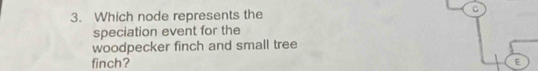 Which node represents the 
C 
speciation event for the 
woodpecker finch and small tree 
finch? E