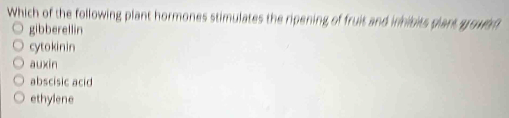 Which of the following plant hormones stimulates the ripening of fruit and inhibits plant groweh
gibberellin
cytokinin
auxin
abscisic acid
ethylene
