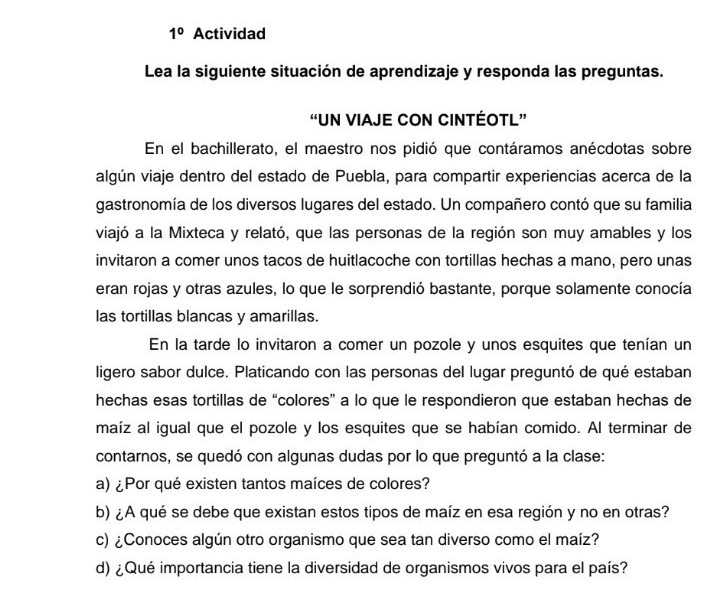 1° Actividad 
Lea la siguiente situación de aprendizaje y responda las preguntas. 
“UN VIAJE CON CINTÉOTL” 
En el bachillerato, el maestro nos pidió que contáramos anécdotas sobre 
algún viaje dentro del estado de Puebla, para compartir experiencias acerca de la 
gastronomía de los diversos lugares del estado. Un compañero contó que su familia 
viajó a la Mixteca y relató, que las personas de la región son muy amables y los 
invitaron a comer unos tacos de huitlacoche con tortillas hechas a mano, pero unas 
eran rojas y otras azules, lo que le sorprendió bastante, porque solamente conocía 
las tortillas blancas y amarillas. 
En la tarde lo invitaron a comer un pozole y unos esquites que tenían un 
ligero sabor dulce. Platicando con las personas del lugar preguntó de qué estaban 
hechas esas tortillas de “colores” a lo que le respondieron que estaban hechas de 
maíz al igual que el pozole y los esquites que se habían comido. Al terminar de 
contarnos, se quedó con algunas dudas por lo que preguntó a la clase: 
a) ¿Por qué existen tantos maíces de colores? 
b) ¿A qué se debe que existan estos tipos de maíz en esa región y no en otras? 
c) ¿Conoces algún otro organismo que sea tan diverso como el maíz? 
d) ¿Qué importancia tiene la diversidad de organismos vivos para el país?