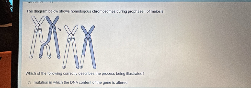 The diagram below shows homologous chromosomes during prophase I of meiosis. 
Which of the following correctly describes the process being illustrated? 
mutation in which the DNA content of the gene is altered