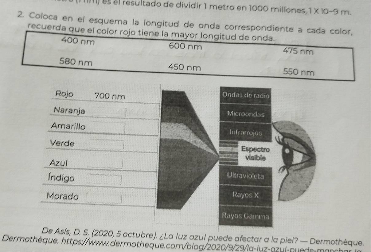 (IM) es el resultado de dividir 1 metro en 1000 millones, 1* 10-9m. 
2. Coloca en el esquema la longitud de onda correspondiente a cada color,
recuerda que el color rojo tiene la mayor longitud de onda.
400 nm 600 nm 475 nm
580 nm 450 nm 550 nm
D. S. (2020, 5 octubre). ¿La luz azul puede afectar a la piel? — Dermothèque.
Dermothèque, https://www.dermotheque.com/blog/2020/9/29/la-luz-au l-p u - a