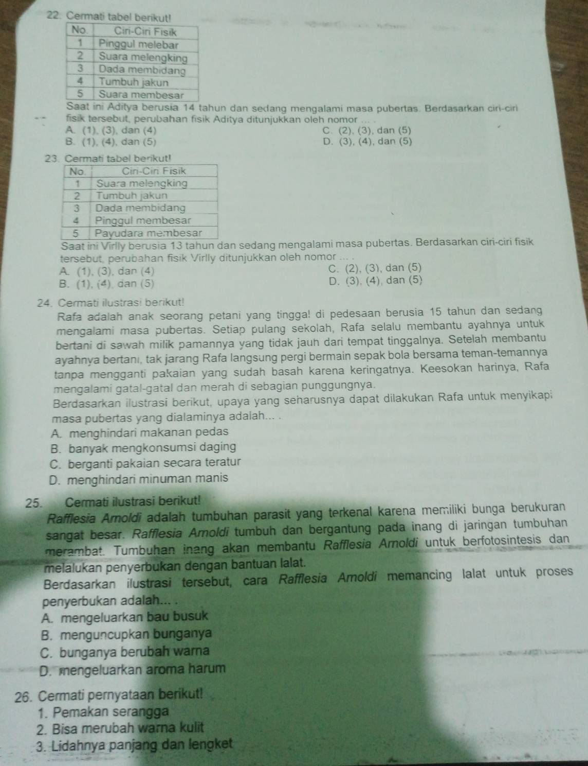 Cermati tabel beriku!
Saat ini Aditya berusia 14 tahun dan sedang mengalami masa pubertas. Berdasarkan ciri-ciri
fisik tersebut, perubahan fisik Aditya ditunjukkan oleh nomor
A. (1), (3), dan (4) C. (2),(3),dan(5
B. (1), (4), dan (5) D. (3),(4),dan(5)
23. Cermati tabel berikut!
Saat ini Virlly berusia 13 tahun dan sedang mengalami masa pubertas. Berdasarkan ciri-ciri fisik
tersebut, perubahan fisik Virlly ditunjukkan oleh nomor
A. (1), (3), dan (4) C. (2), (3), dan (5)
B. (1), (4) dan (5) D. (3), (4), dan (5)
24. Cermati ilustrasi berikut!
Rafa adalah anak seorang petani yang tingga! di pedesaan berusia 15 tahun dan sedang
mengalami masa pubertas. Setiap pulang sekolah, Rafa selalu membantu ayahnya untuk
bertani di sawah milik pamannya yang tidak jauh dari tempat tinggalnya. Setelah membantu
ayahnya bertani, tak jarang Rafa langsung pergi bermain sepak bola bersama teman-temannya
tanpa mengganti pakaian yang sudah basah karena keringatnya. Keesokan harinya, Rafa
mengalami gatal-gatal dan merah di sebagian punggungnya.
Berdasarkan ilustrasi berikut, upaya yang seharusnya dapat dilakukan Rafa untuk menyikapi
masa pubertas yang dialaminya adalah... .
A. menghindari makanan pedas
B. banyak mengkonsumsi daging
C. berganti pakaian secara teratur
D. menghindari minuman manis
25. Cermati ilustrasi berikut!
Rafflesia Arnoldi adalah tumbuhan parasit yang terkenal karena memiliki bunga berukuran
sangat besar. Rafflesia Amoldi tumbuh dan bergantung pada inang di jaringan tumbuhan
merambat. Tumbuhan inang akan membantu Rafflesia Arnoldi untuk berfotosintesis dan
melalukan penyerbukan dengan bantuan lalat.
Berdasarkan ilustrasi tersebut, cara Rafflesia Aroldi memancing lalat untuk proses
penyerbukan adalah... .
A. mengeluarkan bau busuk
B. menguncupkan bunganya
C. bunganya berubah wara
D. mengeluarkan aroma harum
26. Cermati pernyataan berikut!
1. Pemakan serangga
2. Bisa merubah warna kulit
3. Lidahnya panjang dan lengket