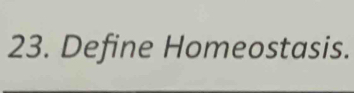 Define Homeostasis.