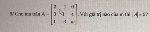 5/ Cho ma trận A=beginbmatrix 2&-1&0 3&01&4 1&-3&mendbmatrix. Với giá trị nào của m thì |A|=5 ?