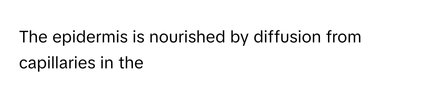 The epidermis is nourished by diffusion from capillaries in the