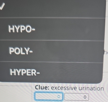 HYPO- 
POLY- 
HYPER- 
Clue: excessive urination 
C