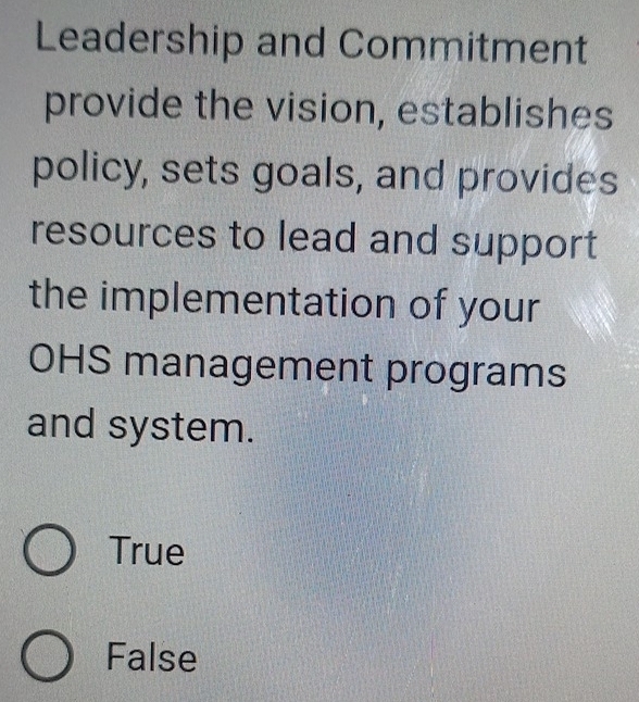 Leadership and Commitment
provide the vision, establishes
policy, sets goals, and provides
resources to lead and support
the implementation of your
OHS management programs
and system.
True
False