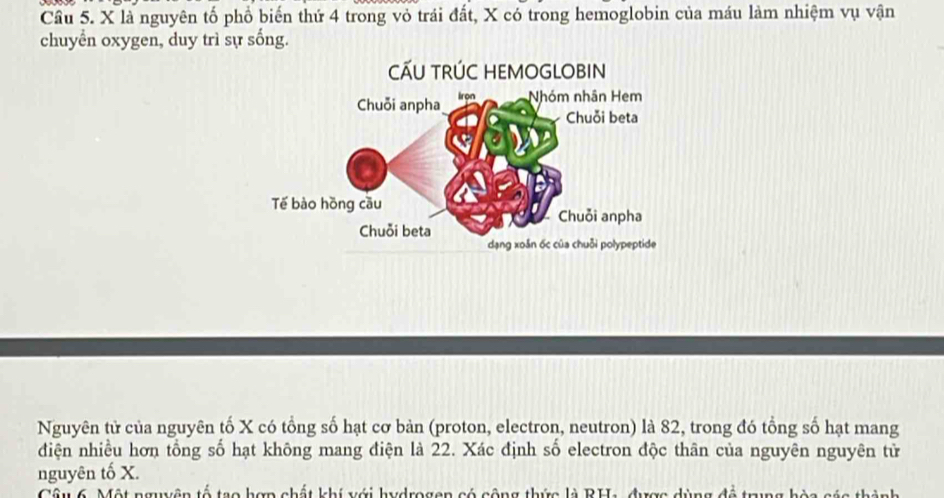 Cầu 5. X là nguyên tố phổ biến thứ 4 trong vỏ trái đất, X có trong hemoglobin của máu làm nhiệm vụ vận 
chuyển oxygen, duy trì sự sống. 
Nguyên tử của nguyên tố X có tổng số hạt cơ bản (proton, electron, neutron) là 82, trong đó tổng số hạt mang 
diện nhiều hơn tổng số hạt không mang điện là 22. Xác định số electron độc thân của nguyên nguyên tử 
nguyên tố X. 
Câu 6. Một nguyên tố tạo hợp chất khí với hydrogen có cộng thức là RH1 được dùng đề trung hòa sác thành