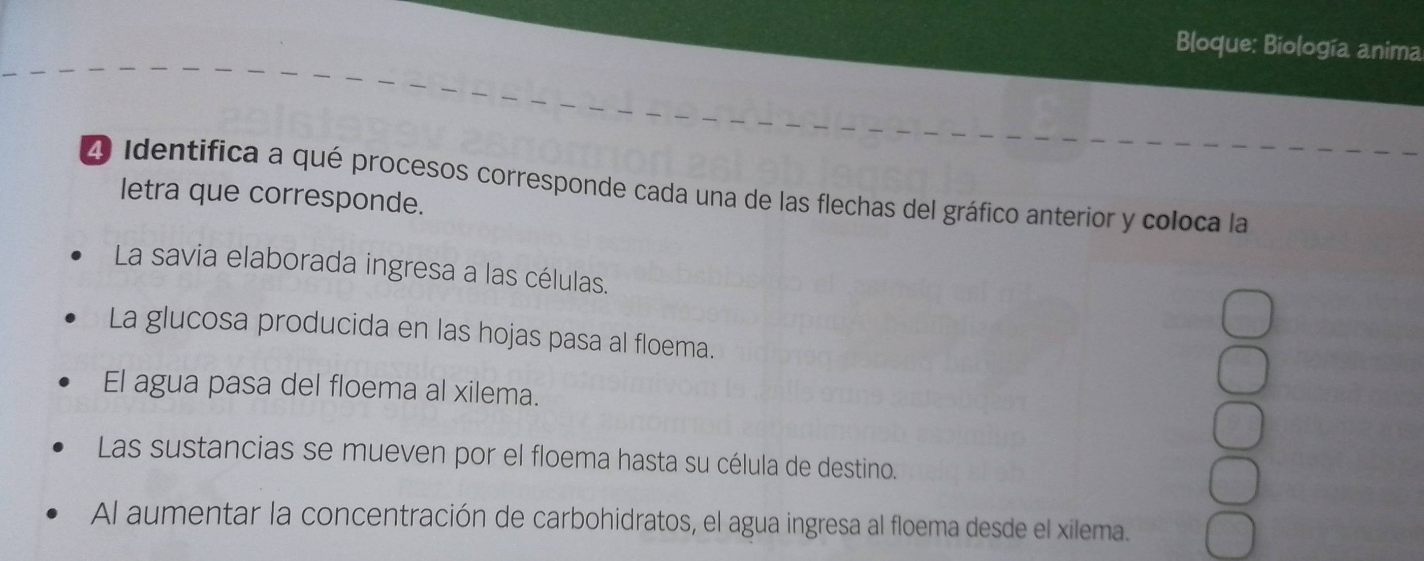 Bloque: Biología anima 
2 Identifica a qué procesos corresponde cada una de las flechas del gráfico anterior y coloca la 
letra que corresponde. 
La savia elaborada ingresa a las células. 
La glucosa producida en las hojas pasa al floema. 
El agua pasa del floema al xilema. 
Las sustancias se mueven por el floema hasta su célula de destino. 
Al aumentar la concentración de carbohidratos, el agua ingresa al floema desde el xilema.