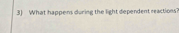 What happens during the light dependent reactions?