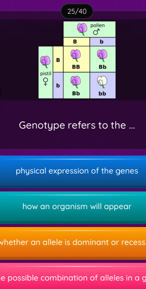 25/40 
pollen 
x 
B b 
B 
BB Bb 
pistil 
♀ b 
Bb bb 
Genotype refers to the ... 
physical expression of the genes 
how an organism will appear 
whether an allele is dominant or recess. 
e possible combination of alleles in a g