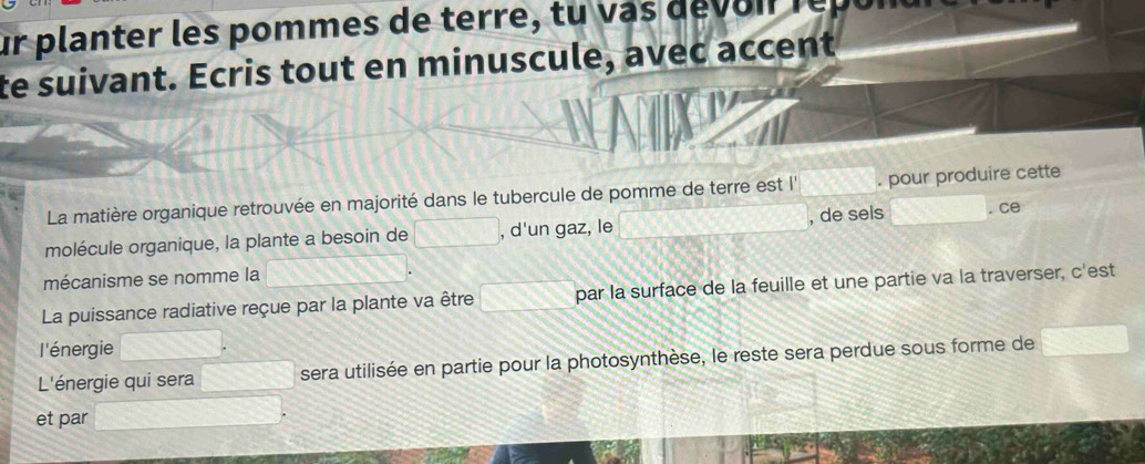 ur planter les pommes de terre, tu vas dévoi répui 
te suivant. Ecris tout en minuscule, avec accent 
La matière organique retrouvée en majorité dans le tubercule de pomme de terre est I'' . pour produire cette 
molécule organique, la plante a besoin de , d'un gaz, le , de sels . ce 
mécanisme se nomme la 
La puissance radiative reçue par la plante va être par la surface de la feuille et une partie va la traverser, c'est 
l'énergie 
L'énergie qui sera sera utilisée en partie pour la photosynthèse, le reste sera perdue sous forme de 
et par