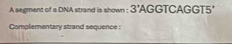A segment of a DNA strand is shown : 3'AGGTCAGGT5'
Complementary strand sequence :