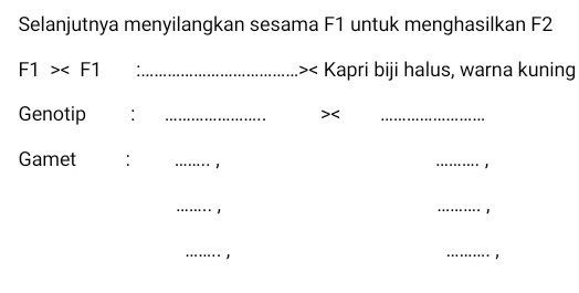 Selanjutnya menyilangkan sesama F1 untuk menghasilkan F2
F1> _< Kapri biji halus, warna kuning 
Genotip : _>