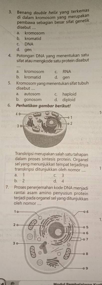 Benang double helix yang terkemas
di dalam kromosom yang merupakan
pembawa sebagian besar sifat genetik
disebut ....
a. kromosom
b. kromatid
c. DNA
d. gen
4. Potongan DNA yang menentukan satu
sifat atau mengkode satu protein disebut
a. kromosom c. RNA
b. kromatid d. gen
5. Kromosom yang menentukan sifat tubuh
disebut ....
a. autosom c. haploid
b. gonosom d. diploid
6. Perhatikan gambar berikut!
1
Transkripsi merupakan salah satu tahapan
dalam proses sintesis protein. Organel
sel yang menunjukkan tempat terjadinya
transkripsi ditunjukkan oleh nomor .... 1
a. 1 c. 3
b. 2 d. 4
7. Proses penerjemahan kode DNA menjadi
rantai asam amino penyusun protein
terjadi pada organel sel yang ditunjukkan
oleh nomor ...
1