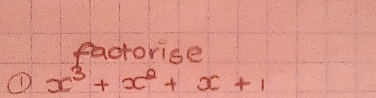 facrorise 
① x^3+x^2+x+1