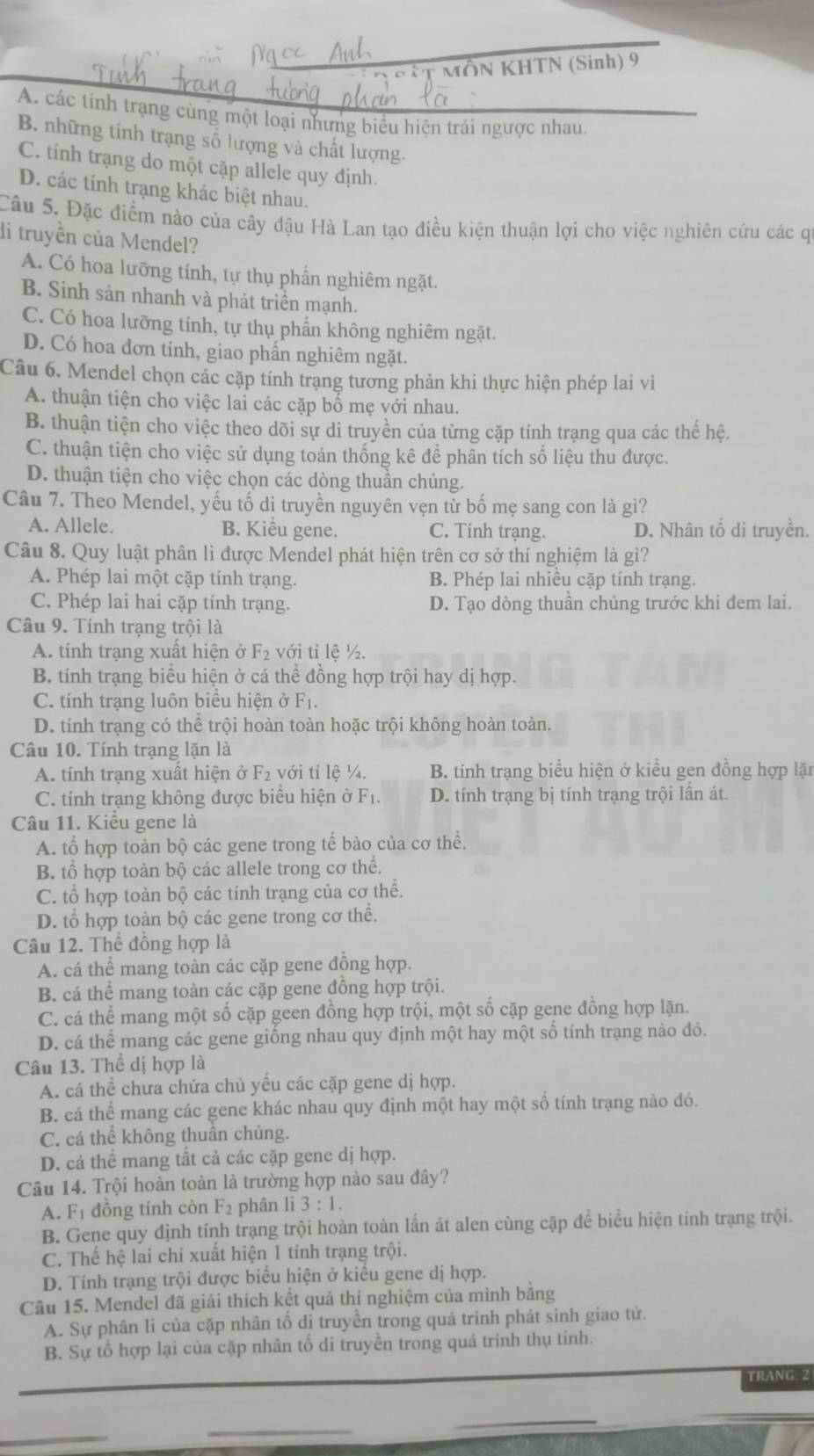 MÔN KHTN (Sinh) 9
A. các tính trạng cùng một loại nhưng biểu hiện trái ngược nhau.
B. những tính trạng số lượng và chất lượng.
C. tính trạng do một cặp allele quy định.
D. các tính trạng khác biệt nhau.
Câu 5. Đặc điểm nào của cây đậu Hà Lan tạo điều kiện thuận lợi cho việc nghiên cứu các qi
di truyền của Mendel?
A. Có hoa lưỡng tính, tự thụ phần nghiêm ngặt.
B. Sinh sản nhanh và phát triển mạnh.
C. Có hoa lưỡng tính, tự thụ phẩn không nghiêm ngặt.
D. Có hoa đơn tính, giao phấn nghiêm ngặt.
Câu 6. Mendel chọn các cặp tính trạng tương phản khi thực hiện phép lai vì
A. thuận tiện cho việc lai các cặp bố mẹ với nhau.
B. thuận tiện cho việc theo dõi sự di truyền của từng cặp tính trang qua các thế hệ.
C. thuận tiện cho việc sử dụng toán thống kê để phân tích số liệu thu được.
D. thuận tiện cho việc chọn các dòng thuần chủng.
Câu 7. Theo Mendel, yếu tố dị truyền nguyên vẹn từ bố mẹ sang con là gì?
A. Allele. B. Kiểu gene. C. Tính trạng. D. Nhân tố di truyền.
Câu 8. Quy luật phân li được Mendel phát hiện trên cơ sở thí nghiệm là gì?
A. Phép lai một cặp tính trạng. B. Phép lai nhiều cặp tính trạng.
C. Phép lai hai cặp tính trạng. D. Tạo dòng thuần chủng trước khi dem lai.
Câu 9. Tính trạng trội là
A. tính trạng xuất hiện ở F_2 với tỉ lệ ½.
B. tính trạng biểu hiện ở cá thể đồng hợp trội hay dị hợp.
C. tính trạng luôn biểu hiện ở F_1.
D. tính trạng có thể trội hoàn toàn hoặc trội không hoàn toàn.
Câu 10. Tính trạng lặn là
A. tính trang xuất hiện ở F_2 với tỉ lệ ¼. B. tính trạng biểu hiện ở kiểu gen đồng hợp lặn
C. tính trạng không được biểu hiện ở F D. tính trạng bị tính trạng trội lần át.
Câu 11. Kiêu gene là
A. tổ hợp toàn bộ các gene trong tế bào của cơ thể.
B. tổ hợp toàn bộ các allele trong cơ thể.
C. tổ hợp toàn bộ các tính trạng của cơ thể.
D. tổ hợp toàn bộ các gene trong cơ thể.
Câu 12. Thể đồng hợp là
A. cá thể mang toàn các cặp gene đồng hợp.
B. cá thể mang toàn các cặp gene đồng hợp trội.
C. cá thể mang một số cặp geen đồng hợp trội, một số cặp gene đồng hợp lặn.
D. cá thể mang các gene giống nhau quy định một hay một số tính trạng nào đó.
Câu 13. Thể dị hợp là
A. cá thể chưa chứa chủ yếu các cặp gene dị hợp.
B. cá thể mang các gene khác nhau quy định một hay một số tính trạng nào đó.
C. cá thể không thuân chủng.
D. cá thể mang tất cả các cặp gene dị hợp.
Câu 14. Trội hoàn toàn là trường hợp nào sau đây?
A. F_1 đồng tính còn F2 phân li 3:1.
B. Gene quy định tính trạng trội hoàn toàn lấn át alen cùng cặp để biểu hiện tính trạng trội.
C. Thể hệ lai chỉ xuất hiện 1 tính trạng trội.
D. Tính trạng trội được biểu hiện ở kiểu gene dị hợp.
Câu 15. Mendel đã giải thích kết quả thí nghiệm của mình bằng
A. Sự phân li của cặp nhân tổ di truyền trong quá trình phát sinh giao tử.
B. Sự tổ hợp lại của cặp nhân tố di truyền trong quá trinh thụ tinh.
TRANG: 2
_
_