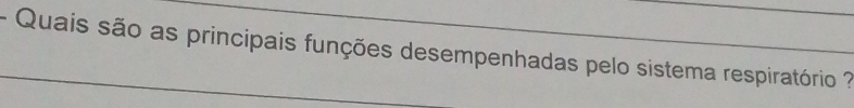 Quais são as principais funções desempenhadas pelo sistema respiratório ?