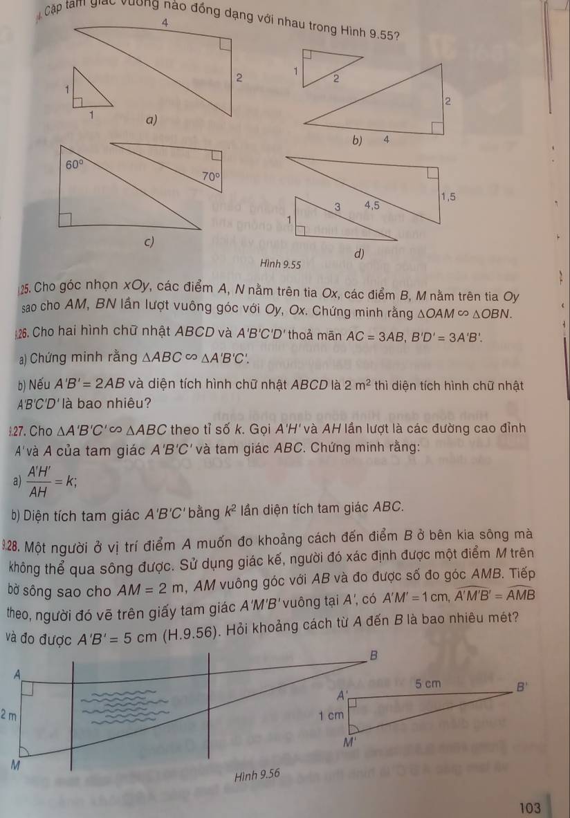 60°
70°
3 4,5 1,5
1
c)
d)
Hình 9.55
25. Cho góc nhọn xOy, các điểm A, N nằm trên tia Ox, các điểm B, M nằm trên tia Oy
sao cho AM, BN lần lượt vuông góc với Oy, Ox. Chứng minh rằng △ OAM C/ △ OBN.
26. Cho hai hình chữ nhật ABCD và A'B'C'D' thoả mān AC=3AB,B'D'=3A'B'.
a) Chứng minh rằng △ ABC △ A'B'C'.
b) Nếu A'B'=2AB và diện tích hình chữ nhật ABCD là 2m^2 t hì diện tích hình chữ nhật
A'B'C'D' là bao nhiêu?
9.27. Cho △ A'B'C' △ ABC theo tỉ số k. Gọi A'H ' và AH lần lượt là các đường cao đỉnh
A'và A của tam giác A'B'C' và tam giác ABC. Chứng minh rằng:
a)  A'H'/AH =k;
b) Diện tích tam giác A'B'C' bằng k^2 lần diện tích tam giác ABC.
9.28. Một người ở vị trí điểm A muốn đo khoảng cách đến điểm B ở bên kia sông mà
không thể qua sông được. Sử dụng giác kế, người đó xác định được một điểm M trên
bờ sông sao cho AM=2m , AM vuông góc với AB và đo được số đo góc AMB. Tiếp
theo, người đó vē trên giấy tam giác A'M B 'vuông tại A', có A'M'=1cm,widehat A'M'B'=widehat AMB
và đo được A'B'=5cm (H.9.56). Hỏi khoảng cách từ A đến B là bao nhiêu mét?
103