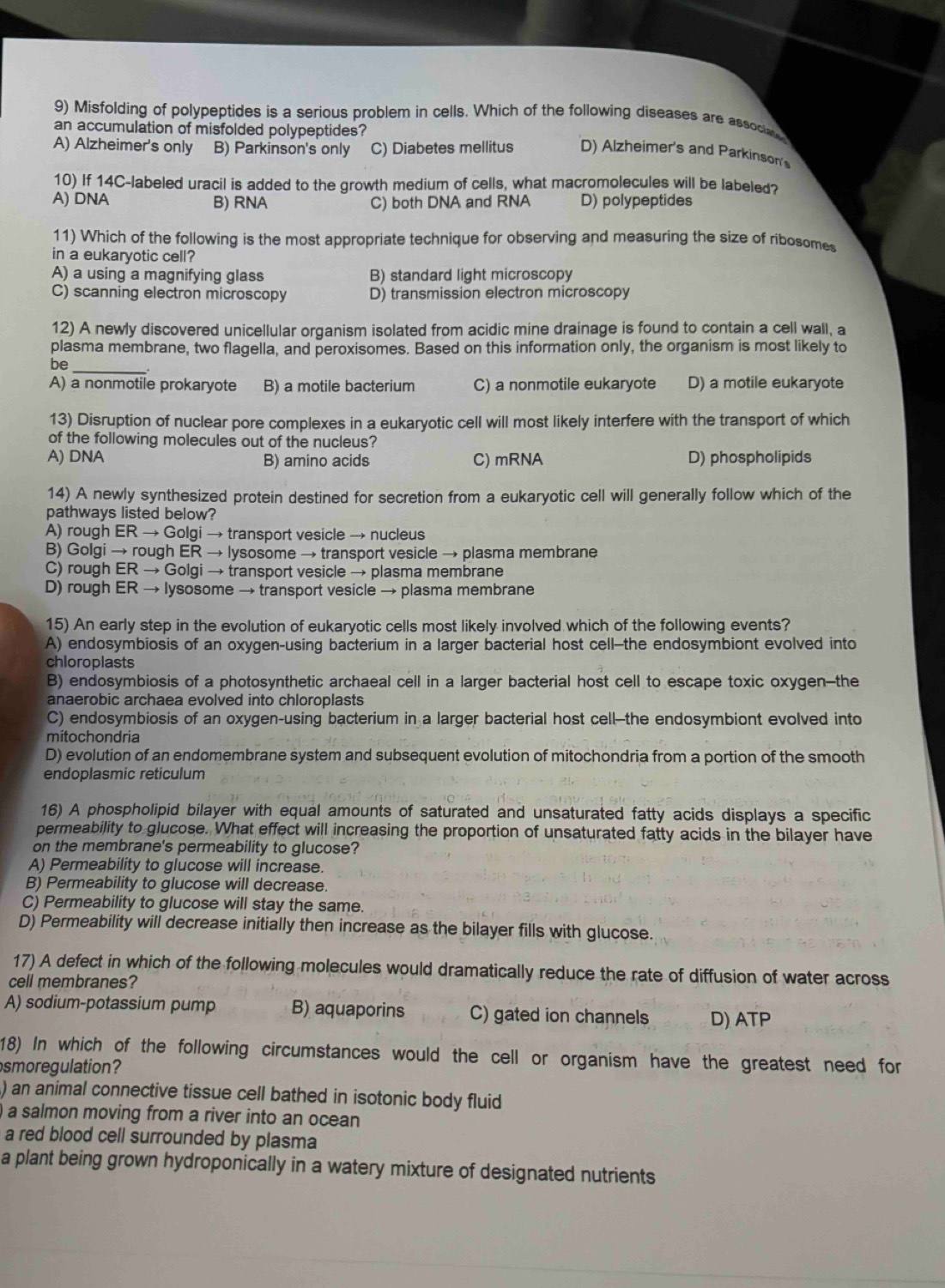Misfolding of polypeptides is a serious problem in cells. Which of the following diseases are associal 
an accumulation of misfolded polypeptides?
A) Alzheimer's only B) Parkinson's only C) Diabetes mellitus D) Alzheimer's and Parkinson's
10) If 14C-labeled uracil is added to the growth medium of cells, what macromolecules will be labeled?
A) DNA B) RNA C) both DNA and RNA D) polypeptides
11) Which of the following is the most appropriate technique for observing and measuring the size of ribosomes
in a eukaryotic cell?
A) a using a magnifying glass B) standard light microscopy
C) scanning electron microscopy D) transmission electron microscopy
12) A newly discovered unicellular organism isolated from acidic mine drainage is found to contain a cell wall, a
plasma membrane, two flagella, and peroxisomes. Based on this information only, the organism is most likely to
_
be
A) a nonmotile prokaryote B) a motile bacterium C) a nonmotile eukaryote D) a motile eukaryote
13) Disruption of nuclear pore complexes in a eukaryotic cell will most likely interfere with the transport of which
of the following molecules out of the nucleus?
A) DNA B) amino acids C) mRNA D) phospholipids
14) A newly synthesized protein destined for secretion from a eukaryotic cell will generally follow which of the
pathways listed below?
A) rough ER → Golgi → transport vesicle → nucleus
B) Golgi → rough ER → lysosome → transport vesicle → plasma membrane
C) rough ER → Golgi → transport vesicle → plasma membrane
D) rough ER → lysosome → transport vesicle → plasma membrane
15) An early step in the evolution of eukaryotic cells most likely involved which of the following events?
A) endosymbiosis of an oxygen-using bacterium in a larger bacterial host cell--the endosymbiont evolved into
chloroplasts
B) endosymbiosis of a photosynthetic archaeal cell in a larger bacterial host cell to escape toxic oxygen--the
anaerobic archaea evolved into chloroplasts
C) endosymbiosis of an oxygen-using bacterium in a larger bacterial host cell--the endosymbiont evolved into
mitochondria
D) evolution of an endomembrane system and subsequent evolution of mitochondria from a portion of the smooth
endoplasmic reticulum
16) A phospholipid bilayer with equal amounts of saturated and unsaturated fatty acids displays a specific
permeability to glucose. What effect will increasing the proportion of unsaturated fatty acids in the bilayer have
on the membrane's permeability to glucose?
A) Permeability to glucose will increase.
B) Permeability to glucose will decrease.
C) Permeability to glucose will stay the same.
D) Permeability will decrease initially then increase as the bilayer fills with glucose.
17) A defect in which of the following molecules would dramatically reduce the rate of diffusion of water across
cell membranes?
A) sodium-potassium pump B) aquaporins C) gated ion channels D) ATP
18) In which of the following circumstances would the cell or organism have the greatest need for
smoregulation?
) an animal connective tissue cell bathed in isotonic body fluid
a salmon moving from a river into an ocean
a red blood cell surrounded by plasma
a plant being grown hydroponically in a watery mixture of designated nutrients