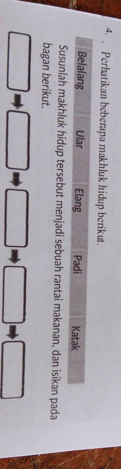 Perhatikan beberapa makhluk hidup berikut. 
Susunlah makhluk hidup tersebut menjadi sebuah rantai makanan, dan isikan pada 
bagan berikut.