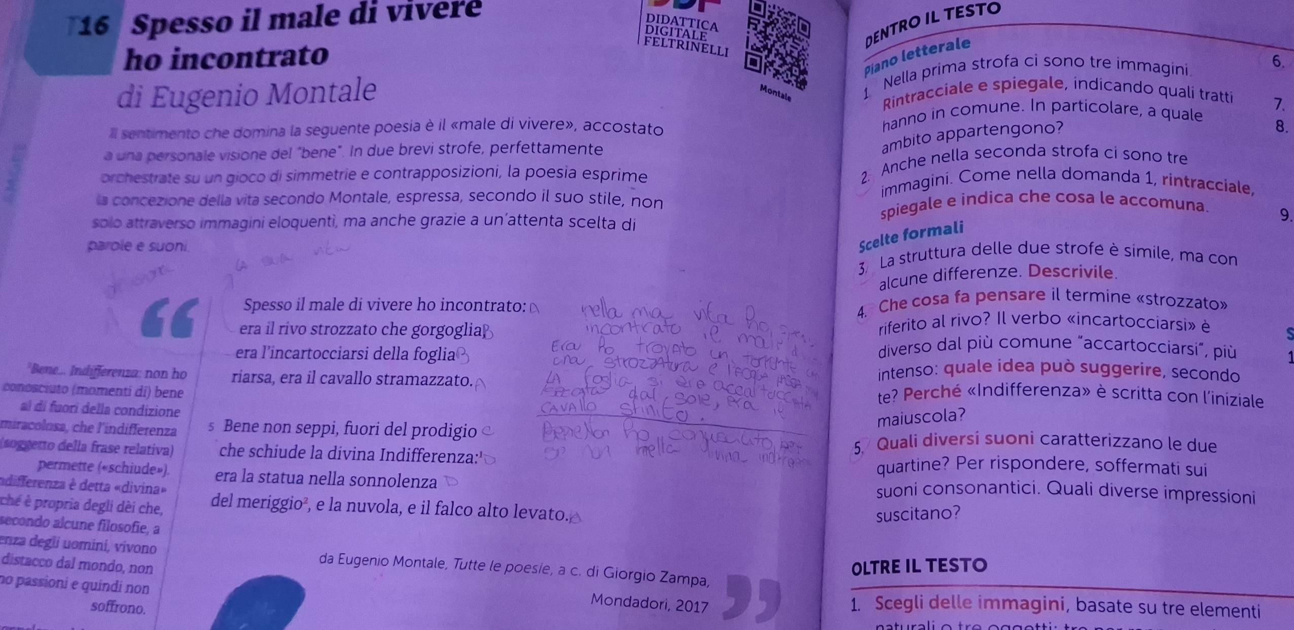 Spesso il male di vivere
DIDATTICA DIGITALE
DENTRO IL TESTO
ho incontrato
FELTRINELLI
Piano letterale
1 Nella prima strofa ci sono tre immagini
6.
di Eugenio Montale Montale  Rintracciale e spiegale, indicando quali tratti
Il sentimento che domina la seguente poesia è il «male di vivere», accostato
hanno in comune. In particolare, a quale
7.
8.
a una personale visione del “bene". In due brevi strofe, perfettamente
ambito appartengono?
2. Anche nella seconda strofa ci sono tre
orchestrate su un gioco di simmetrie e contrapposizioni, la poesia esprime immagini. Come nella domanda 1, rintracciale,
la concezione della vita secondo Montale, espressa, secondo il suo stile, non
solo attraverso immagini eloquentì, ma anche grazie a un’attenta scelta di
spiegale e indica che cosa le accomuna.
9.
parole e suoní
Scelte formali
3 La struttura delle due strofe è simile, ma con
alcune differenze. Descrivile.
Spesso il male di vivere ho incontrato: 4. Che cosa fa pensare il termine «strozzato»
era il rivo strozzato che gorgoglia 
riferito al rivo? Il verbo «incartocciarsi» è
era l'incartocciarsi della foglia
diverso dal più comune “accartocciarsi”, più
intenso: quale idea può suggerire, secondo
*Bene... Indifferenza: non ho riarsa, era il cavallo stramazzato. te? Perché «Indifferenza» è scritta con l'iniziale
conosciuto (momenti di) bene
al di fuori della condizione
miracolosa, che l'indifferenza s Bene non seppi, fuori del prodigio
maiuscola?
5. Quali diversi suoni caratterizzano le due
(soggetto della frase relativa) che schiude la divina Indifferenza:'
quartine? Per rispondere, soffermati sui
permette («schiude»). era la statua nella sonnolenza suoni consonantici. Quali diverse impressioni
ndifferenza è detta «divina»
ché è propria degli dèi che, del meriggio², e la nuvola, e il falco alto levato.
suscitano?
secondo alcune filosofie, a
enza degli uominí, vivono da Eugenio Montale, Tutte le poesie, a c. di Giorgio Zampa,
OLTRE IL TESTO
distacco dal mondo, non Mondadori, 2017
no passioni e quíndí non 1. Scegli delle immagini, basate su tre elementi
soffrono.