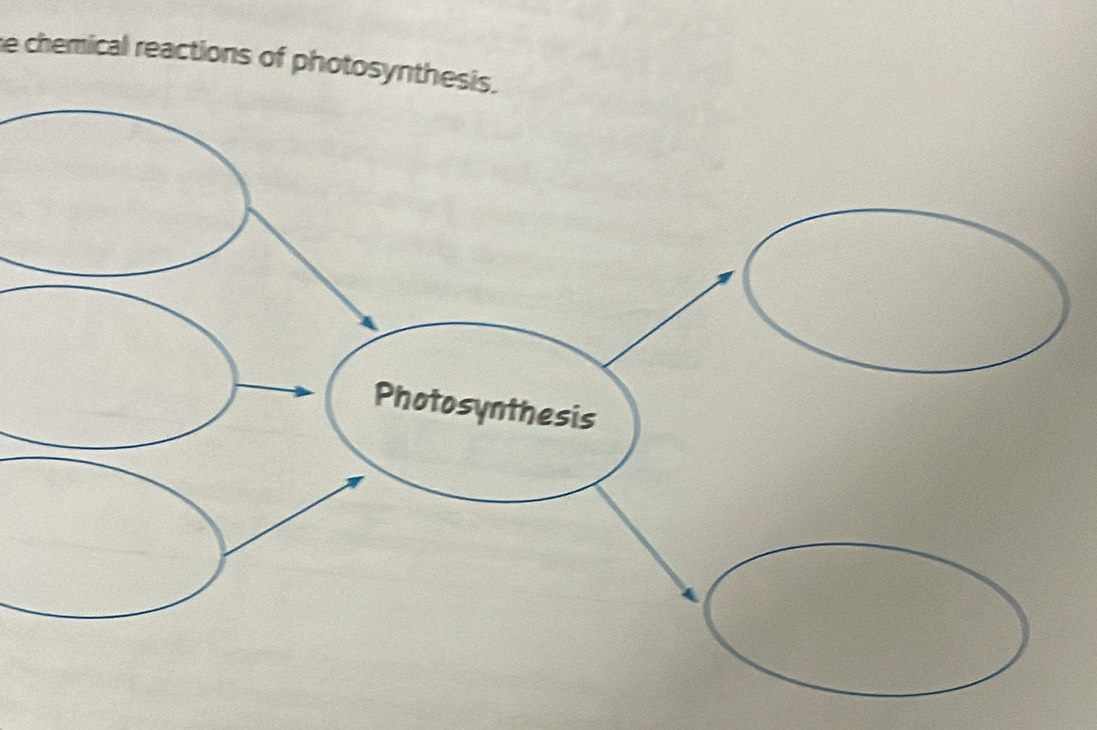 chemical reactions of photosynthesis.